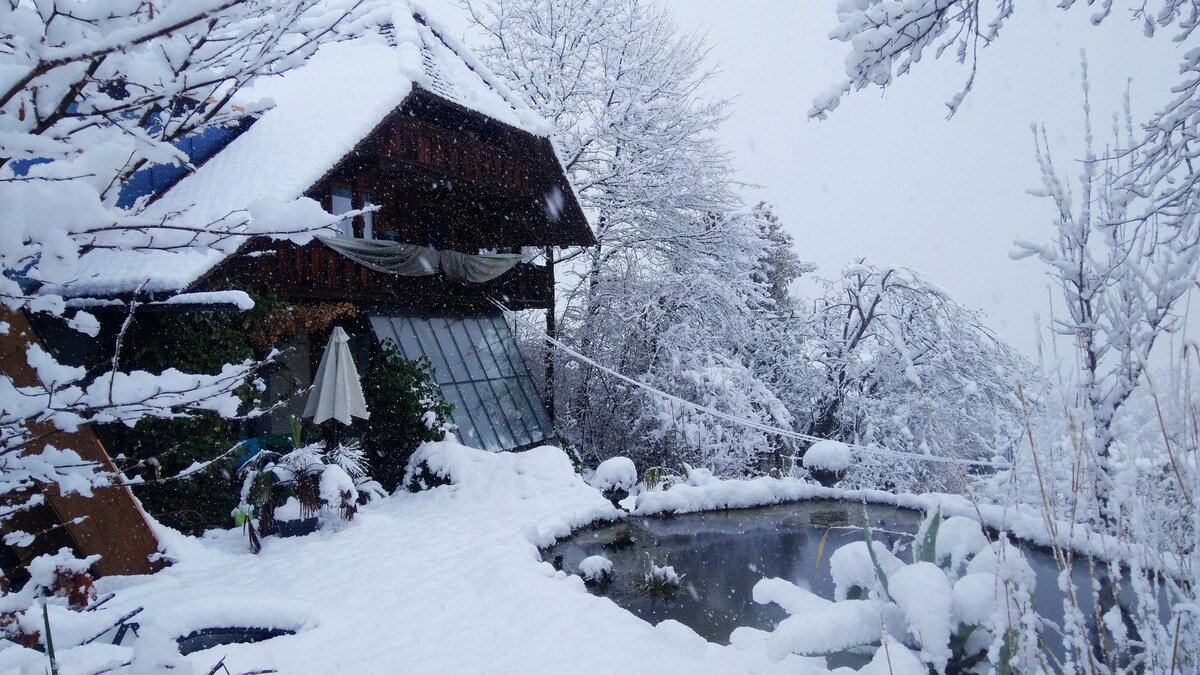 A charming mountain house is surrounded by a blanket of snow, with snow-covered trees and a serene pond at the forefront. A white umbrella and seating area are visible near the house, which features large glass windows that reflect the winter scenery.