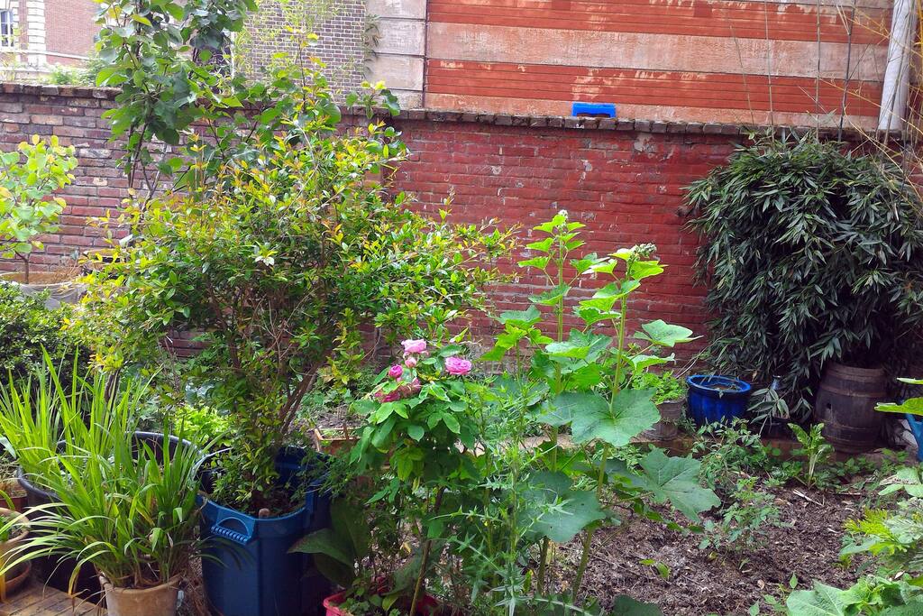 un petit jardinet vous accueille