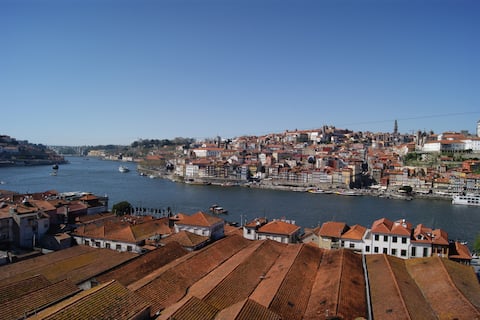 Magic Escape Apartments 1 - Douro River Views