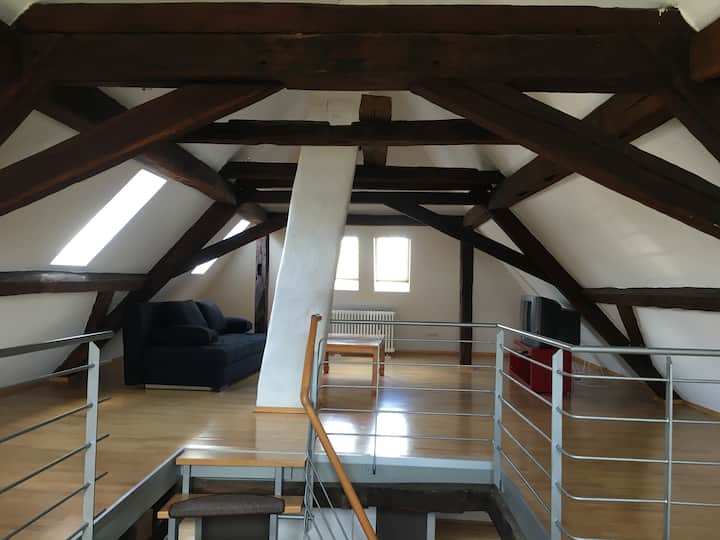 120m2 Maisonette Wohnung Stadtmitte - カイザースラウテルン