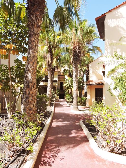 LAS 100 PALMERAS -NATURALEZA Y MAR CON UNA INMENSA TRANQUILIDAD
THE 100 PALM TREES - NATURE AND SEA WITH AN IMMENSE TRANQUILITY