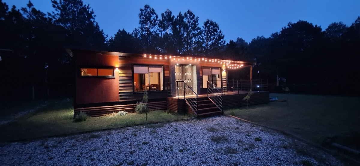 The exterior of the cabin is illuminated by warm string lights, creating a welcoming ambiance at dusk. The structure features large windows that reflect the surrounding greenery, while a pathway leads to the entrance steps. A spacious garden is visible, bordered by natural elements.