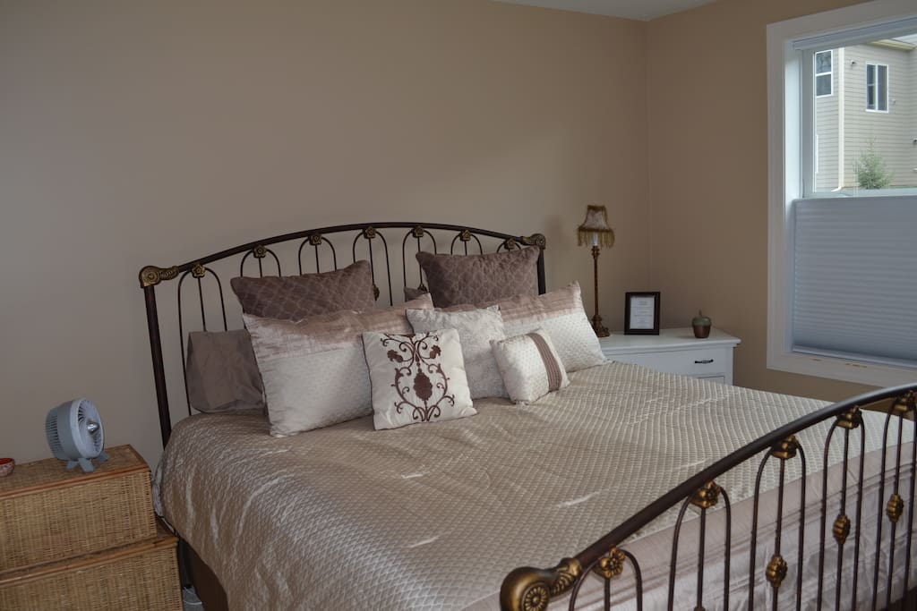 Large bedroom with natural light, king size bed, dresser and closet.