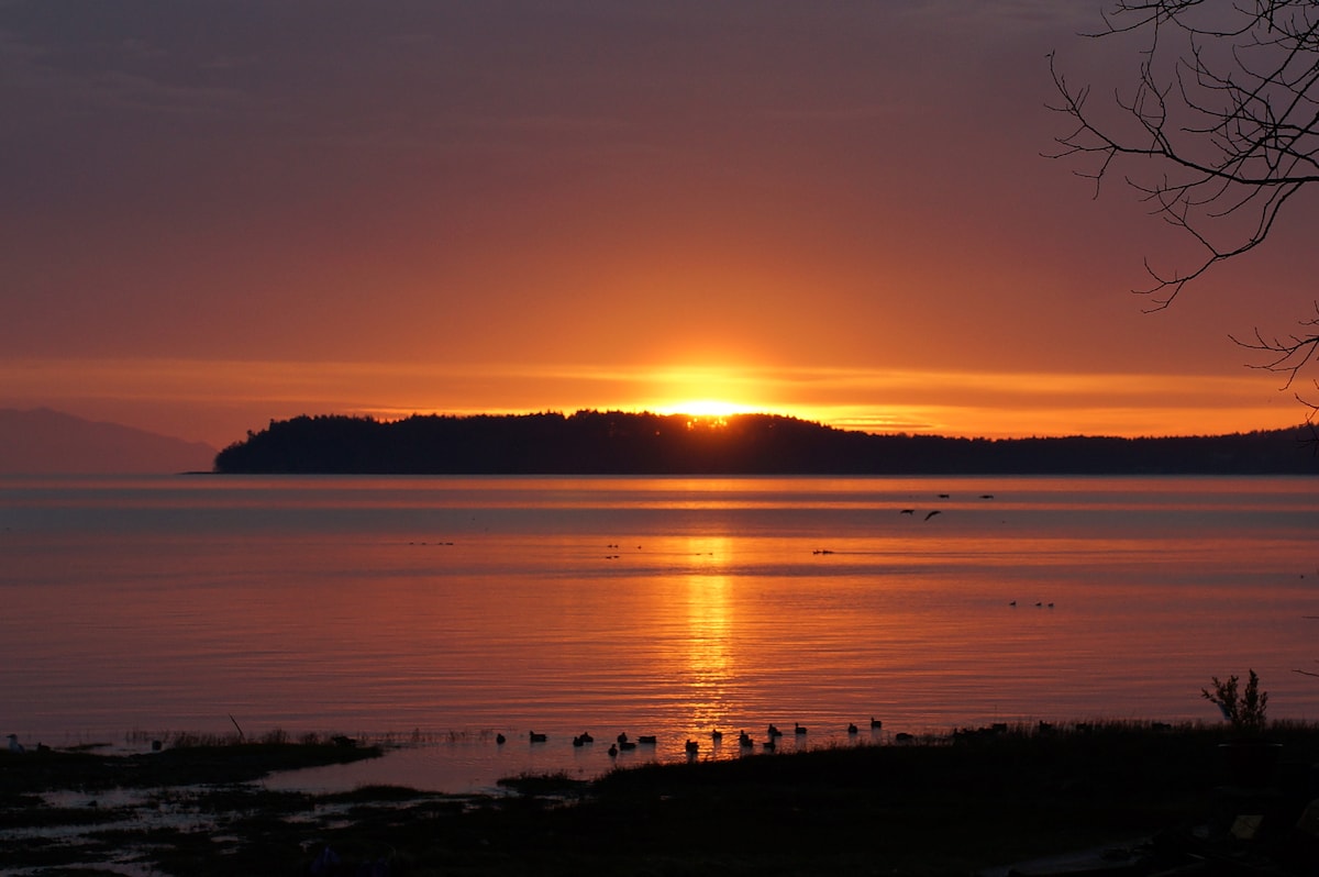 A stunning sunset casts warm orange and pink hues over the calm water, reflecting beautifully against the shore. Silhouetted trees and distant islands are visible against the colorful sky, with birds peacefully gliding across the water's surface.