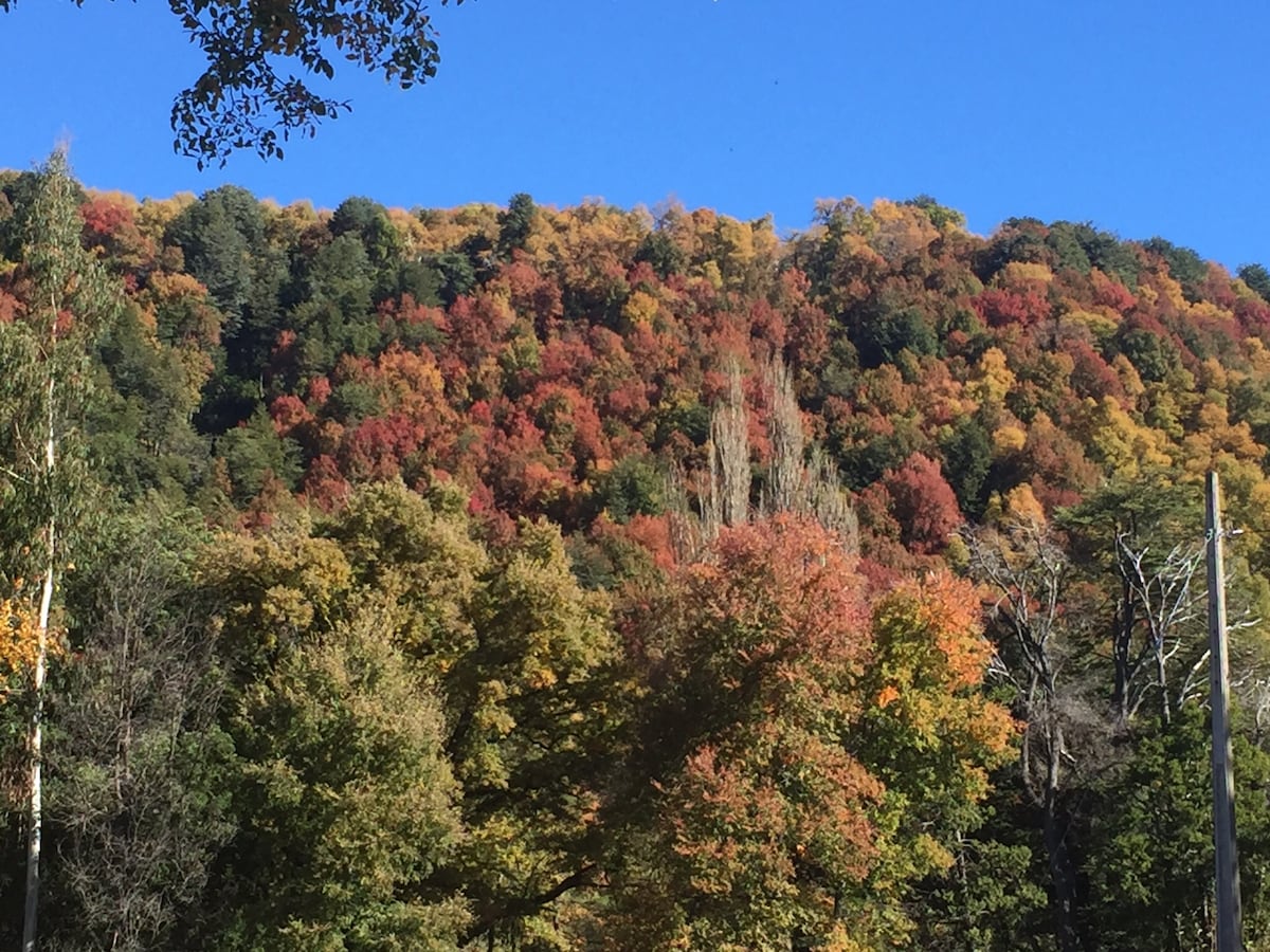 A hillside is covered in a vibrant tapestry of autumn foliage, showcasing a mix of red, orange, and yellow leaves. A clear blue sky provides a striking contrast, enhancing the natural beauty of the scene.