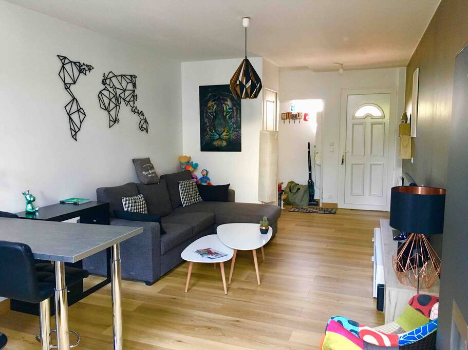 Espace séjour moderne spacieux (1): accès wifi gratuit illimité, télévision par internet, table basse, petit fauteuil, canapé convertible.