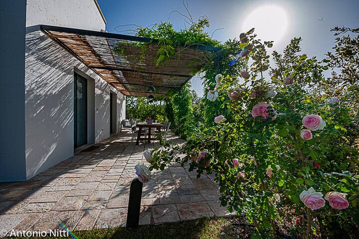 L’Aia di Cucumo – Il Palmento gallery image 3