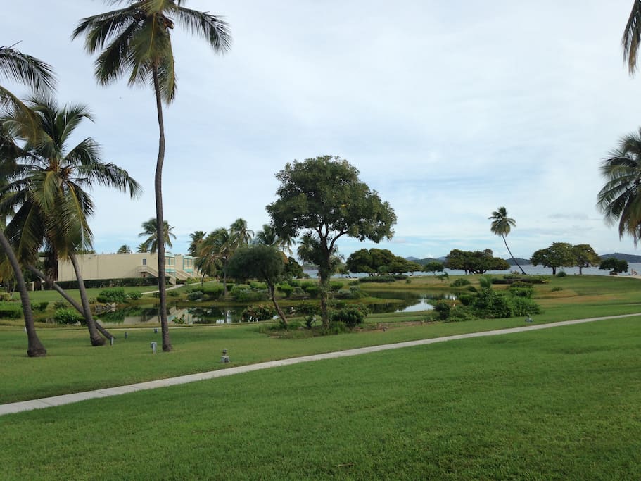 Gorgeous grounds of Crystal Cove