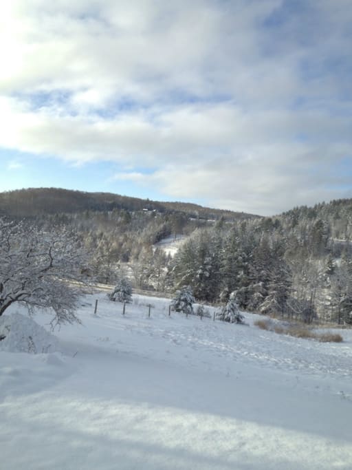 Winter view of Field