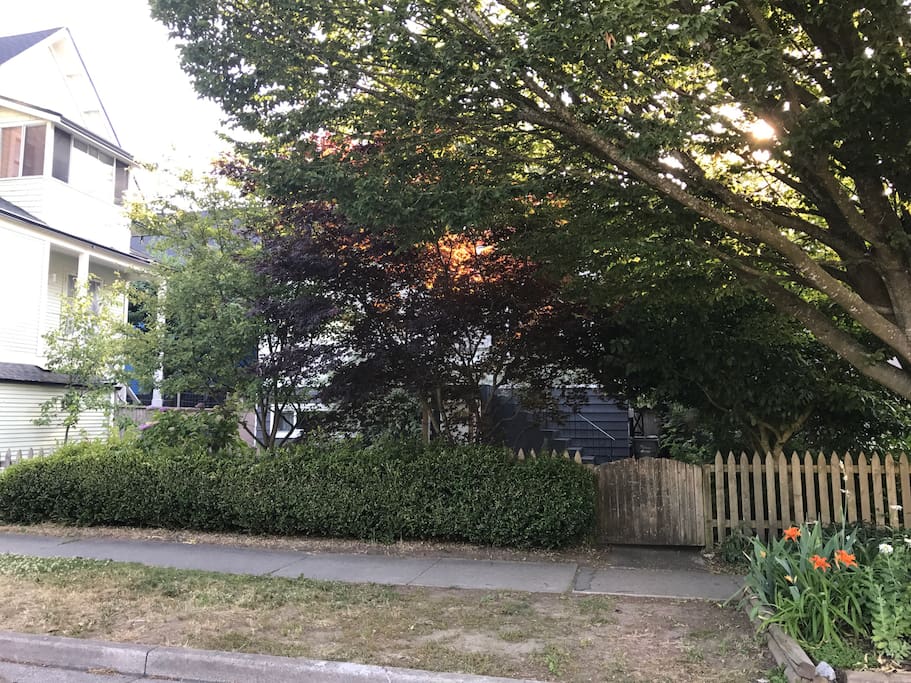 View of home and treed front yard from street.