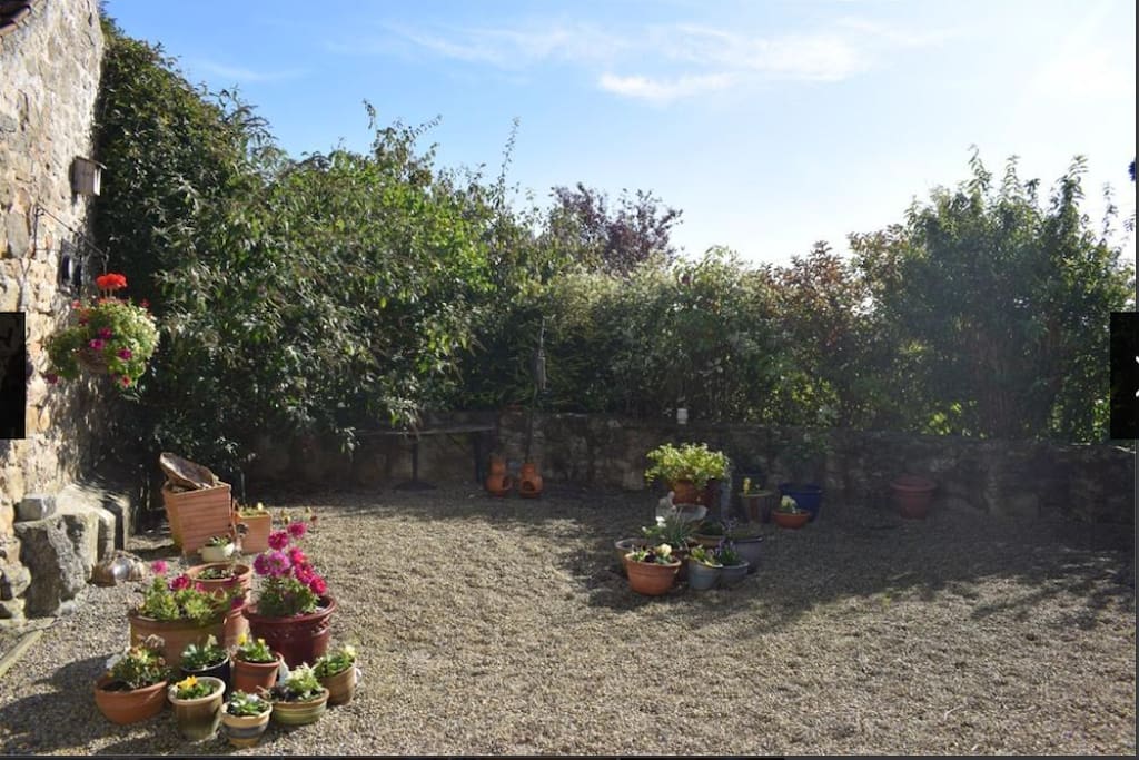 The Garden