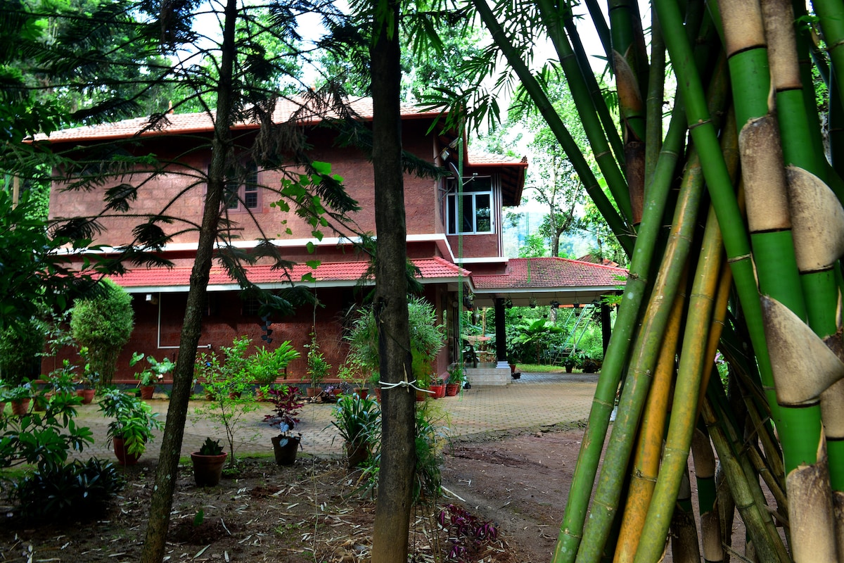 The house is framed by lush greenery, featuring a red brick exterior and large windows. Stone pathways lead to the home, surrounded by various plants in pots. A covered area is visible in front, providing shaded outdoor space amidst the dense forest.
