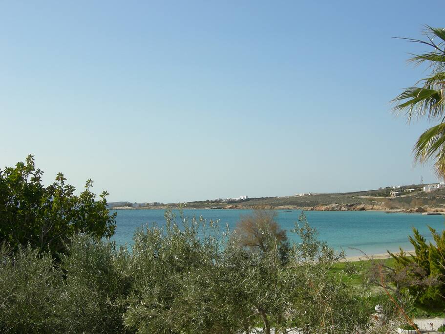 The building is just 15m. from the beach