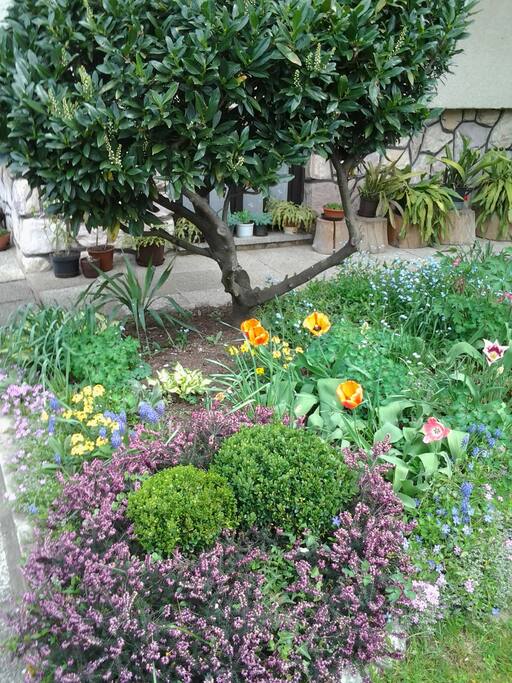 garden