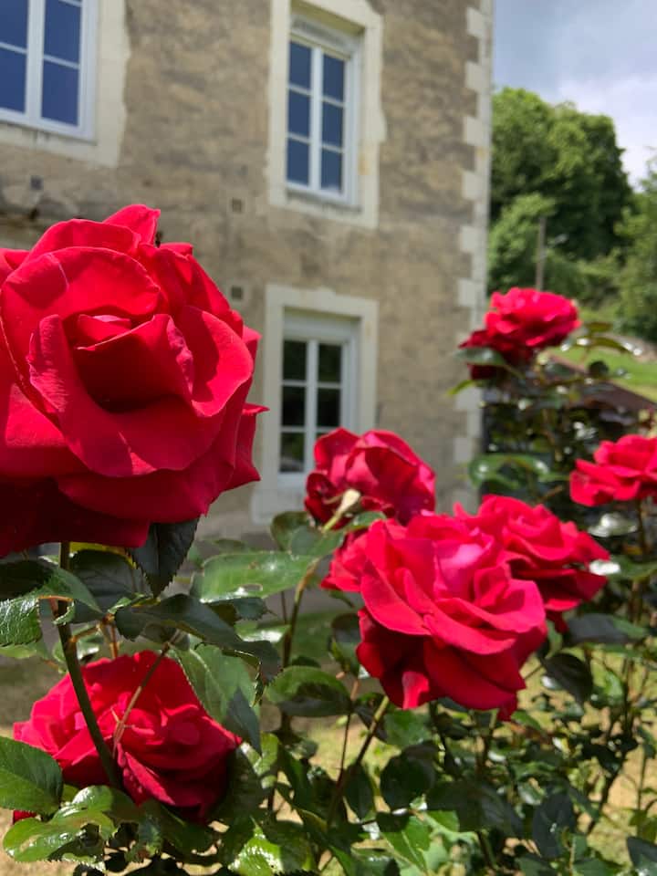 La Chartre-sur-le-Loir Vacation Rentals & Homes - Pays de la Loire, France  | Airbnb
