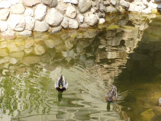 Great celebration place “Kreisā Impērija” gallery image 4