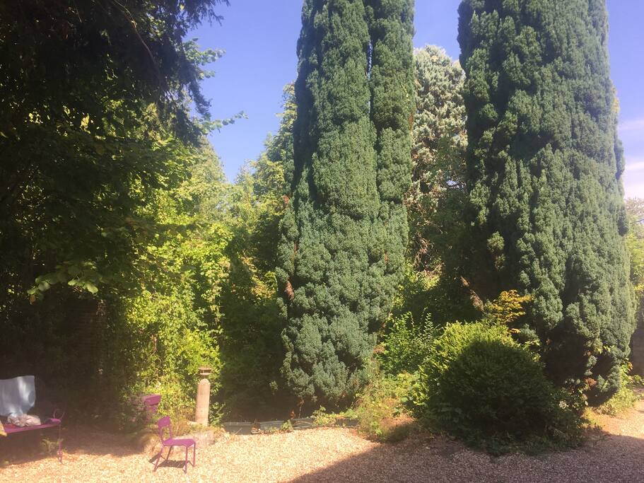 une partie du jardin