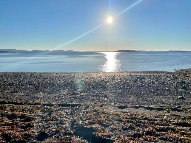 The Shorebird – ocean views & beach – St Andrews gallery image 3