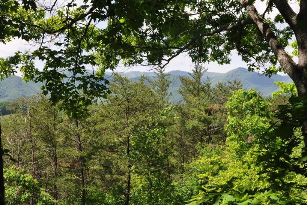 Views of Mountain Mist Will Relax You
