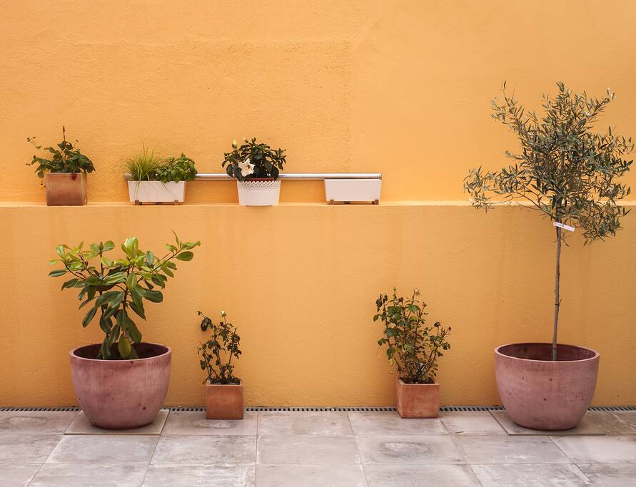 Terrasse