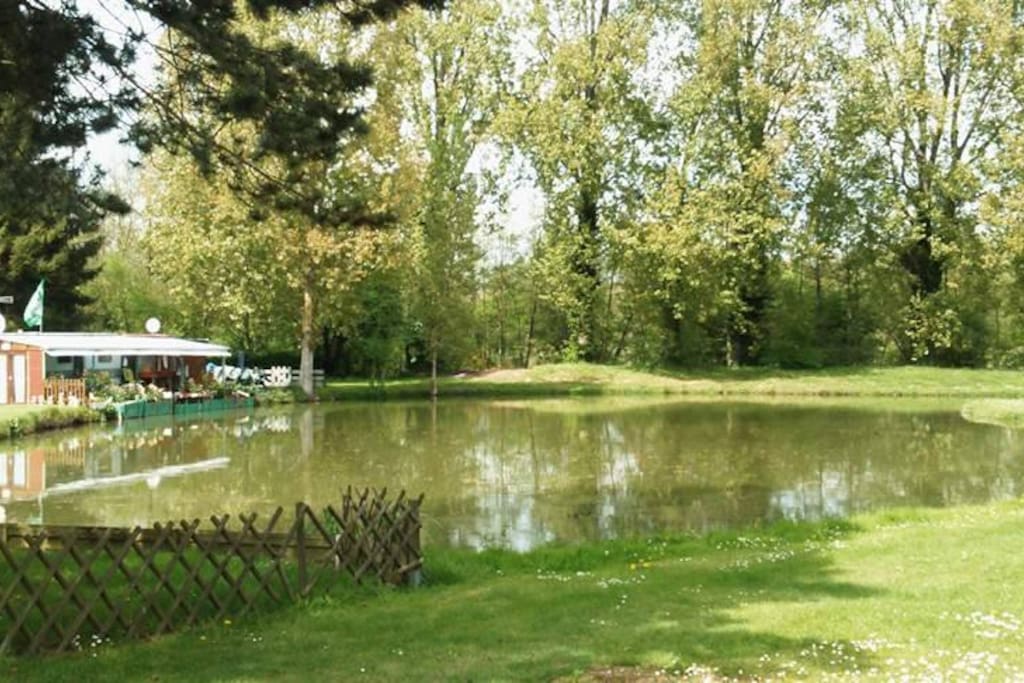 promenade autour de l’étang de pêche