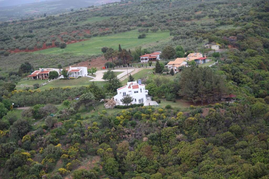 Aerophoto of the VIlla