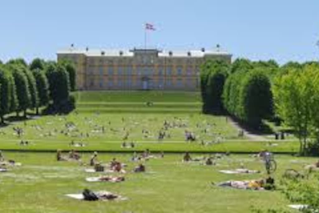 300 meters to park and Frederiksberg Castle.