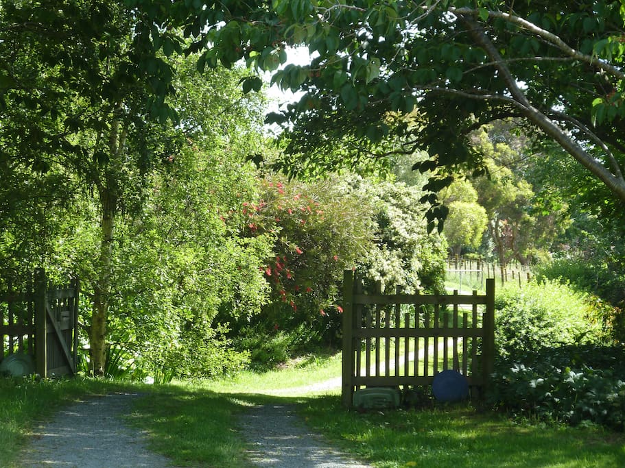 the entrance driveway