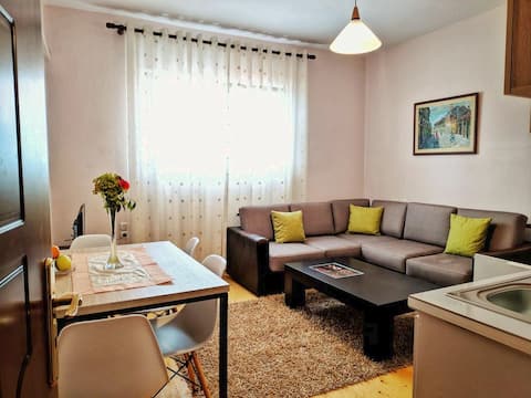 Top Airbnb: All Seasons Apartment 1 in Lagjja 2