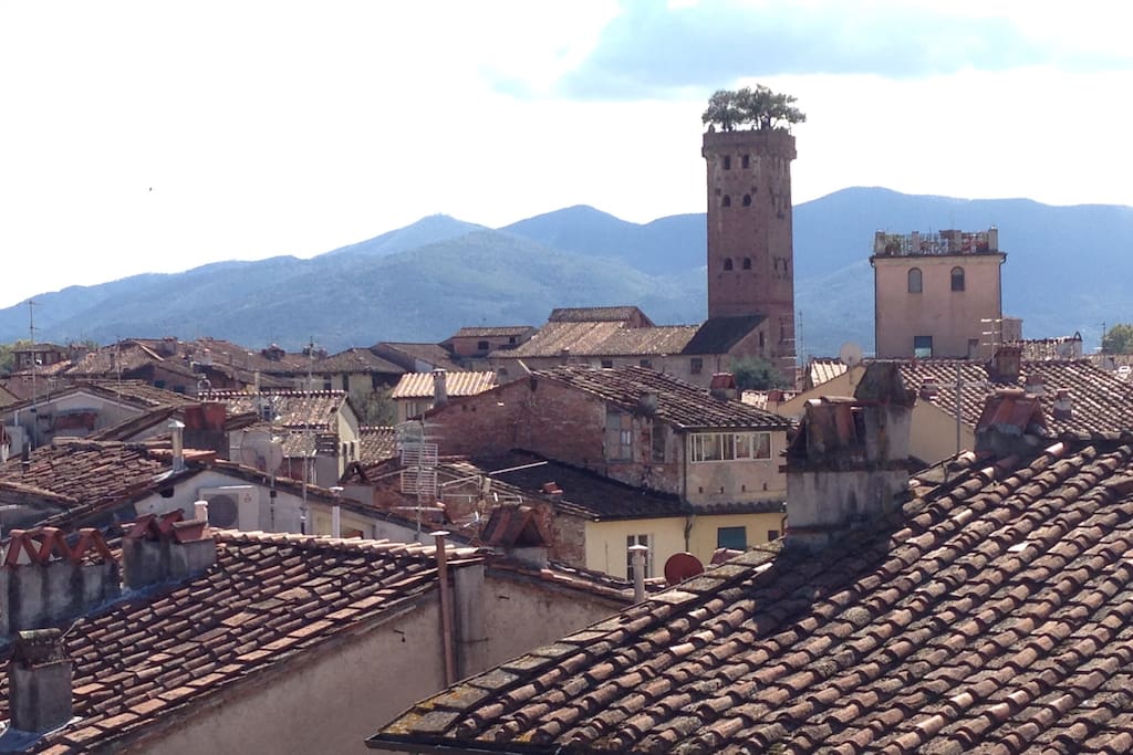 Skyline from the rooftop skylight- The Guinigi's Tower and Amphitheater’s roofs just 100 metres walking