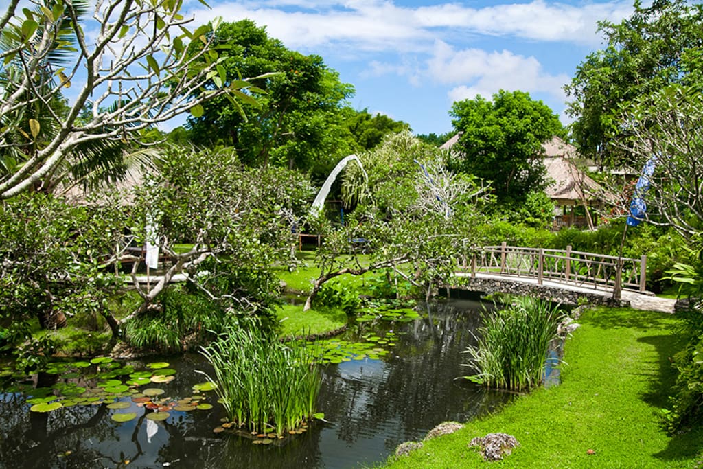Pond villa garden