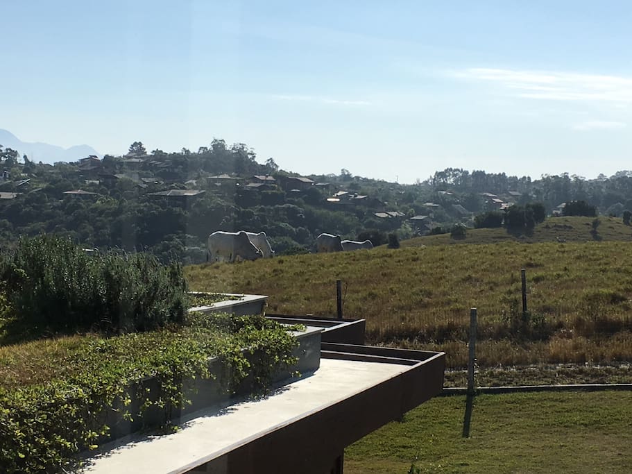 Vista do jardim suspenso, na parte posterior da casa