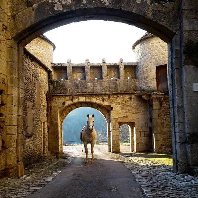 Bienvenue à Flavigny!