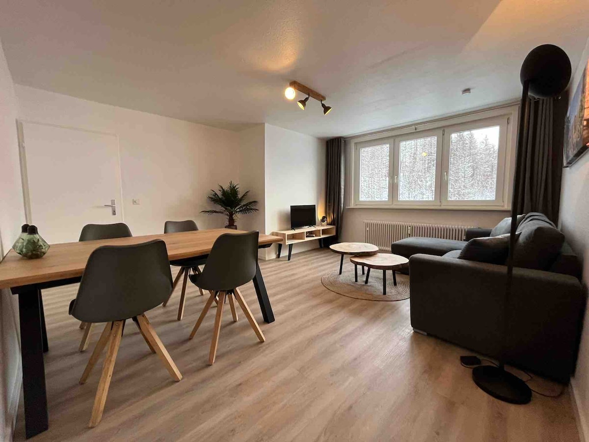 Top performing Airbnb: 10-Pers App Top Location Ski-Lift, Bikepark & Toboggan in Braunlage