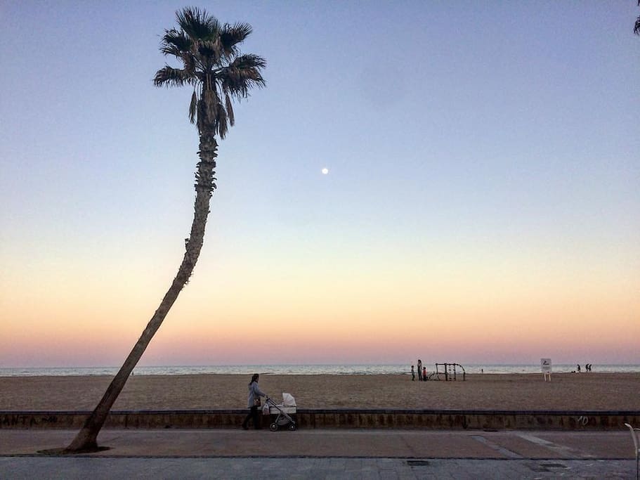 Playa de la Patacona