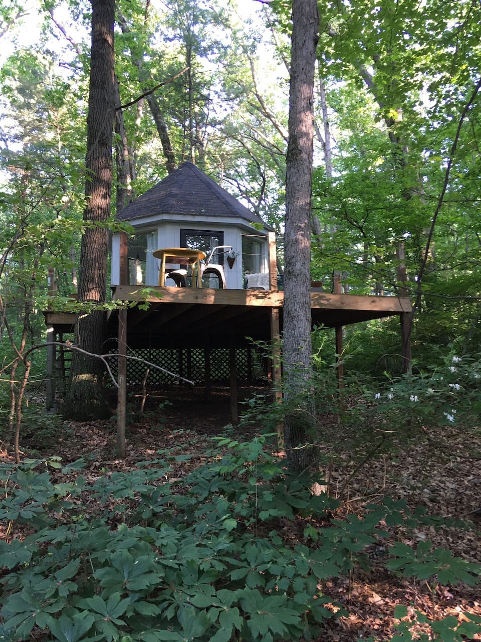 Tree House In Michigan Michigan Treehouse Vacation Rentals | Airbnb