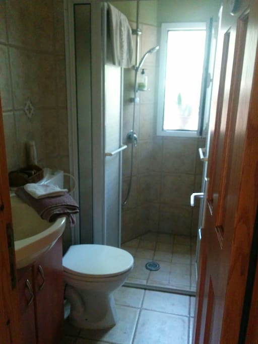 Great, roomy shower, with strong water flow