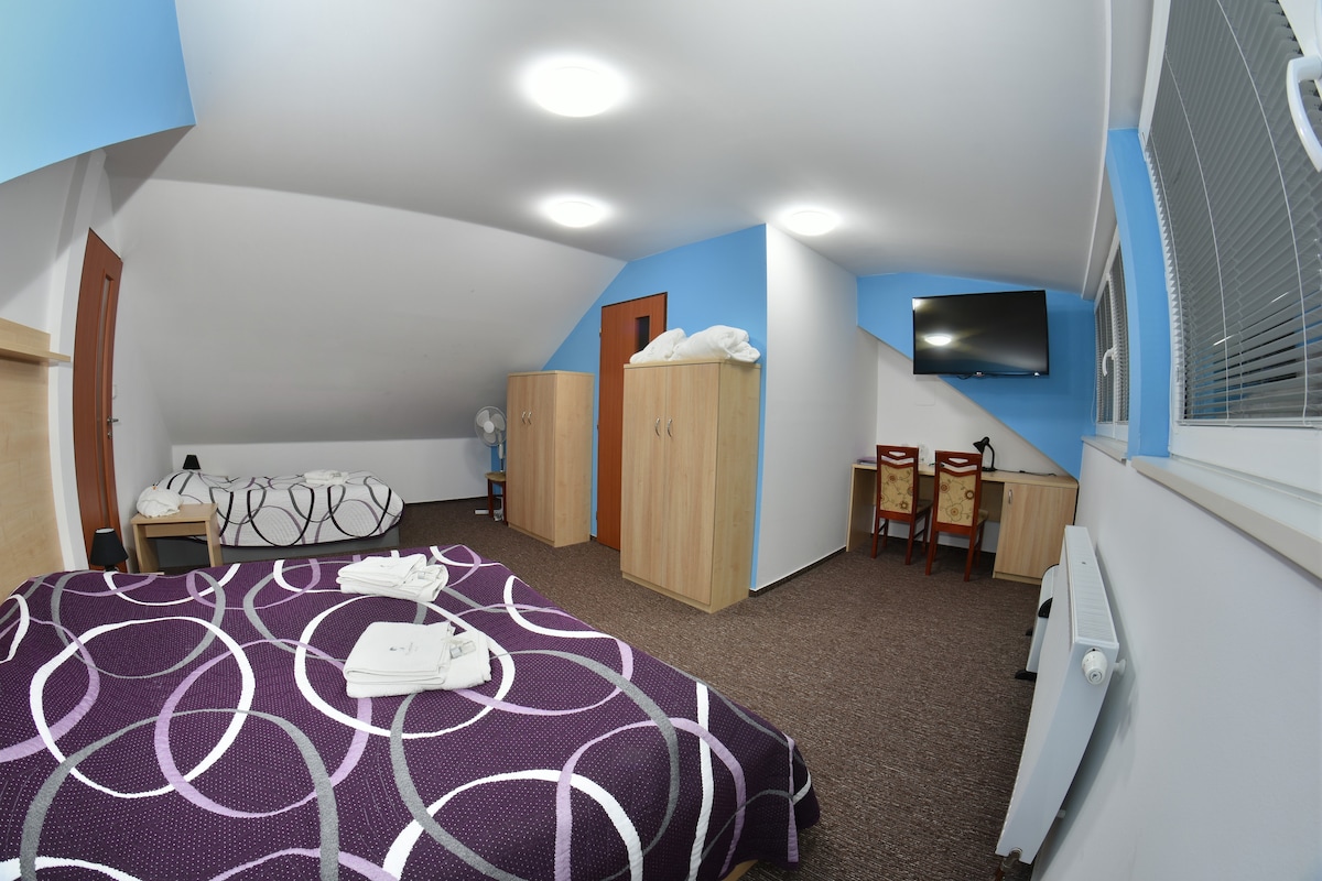 A spacious bedroom features a large double bed adorned with white linens and a deep purple blanket. A single bed is located nearby, alongside wooden wardrobes and a desk with two chairs. A flat-screen TV is mounted on the wall, and natural light enters through a window.