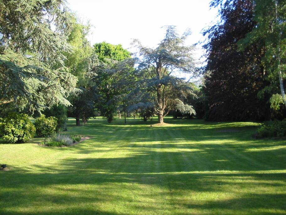 Vue sur le parc plein sud