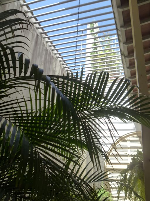 There are security poles at roof level over the open interior, so no one can "drop in".