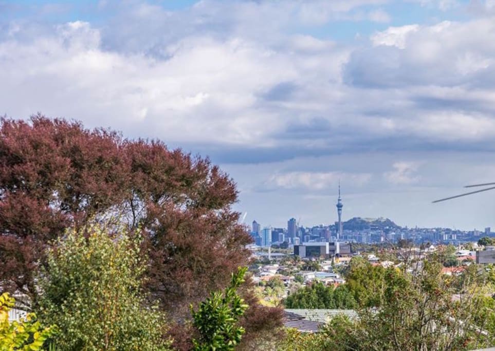 City Views