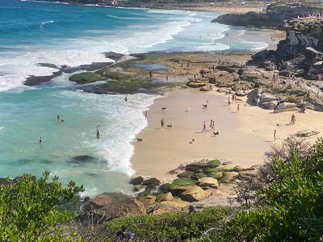 Exclusive Ocean Front Tamarama Beach /Bondi gallery image 3
