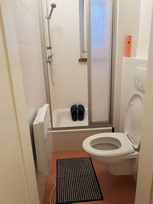 Badezimmer mit Duschkabine. Das Waschbecken befindet sich im Vorraum.