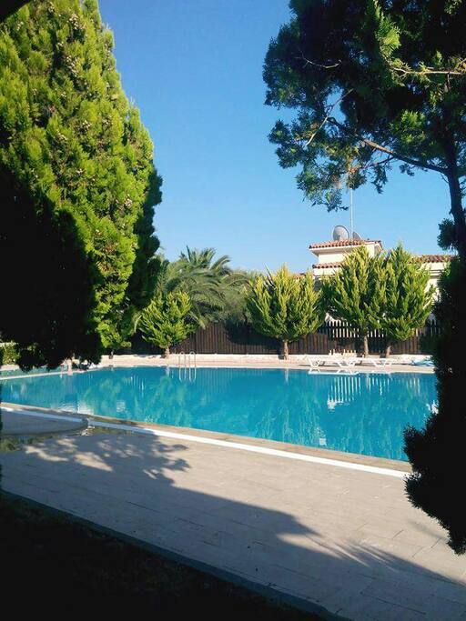 The pool ( shared by 8 houses)
