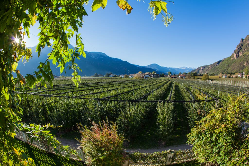 Blick von der Terrasse