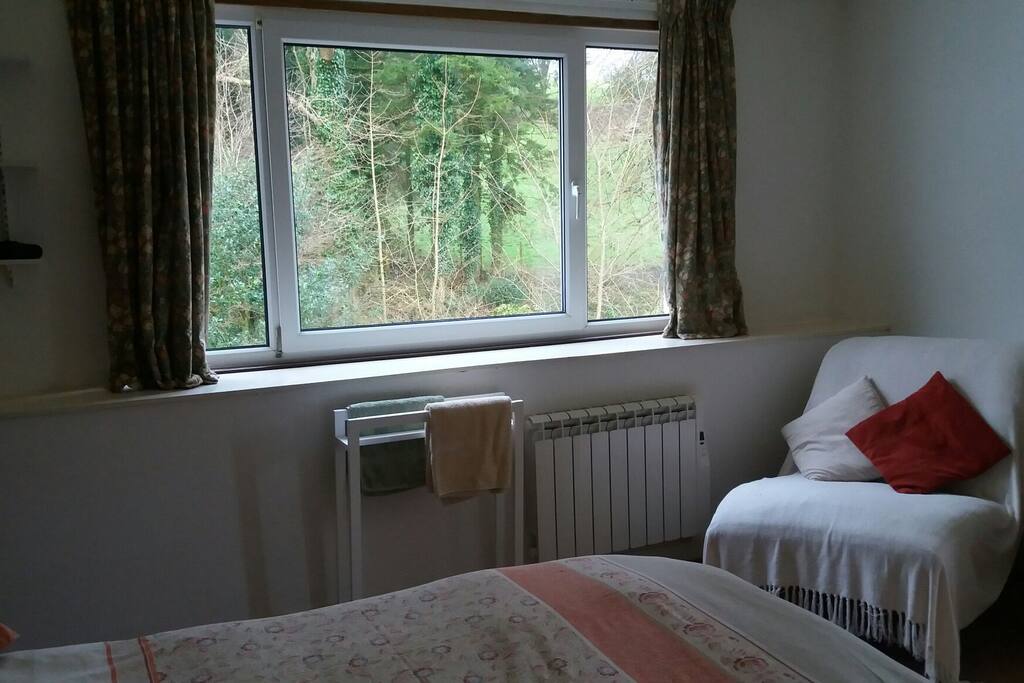View of the woodland