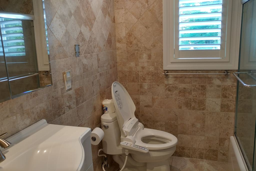 Full bath with tub and heated bidet seat with jet spray