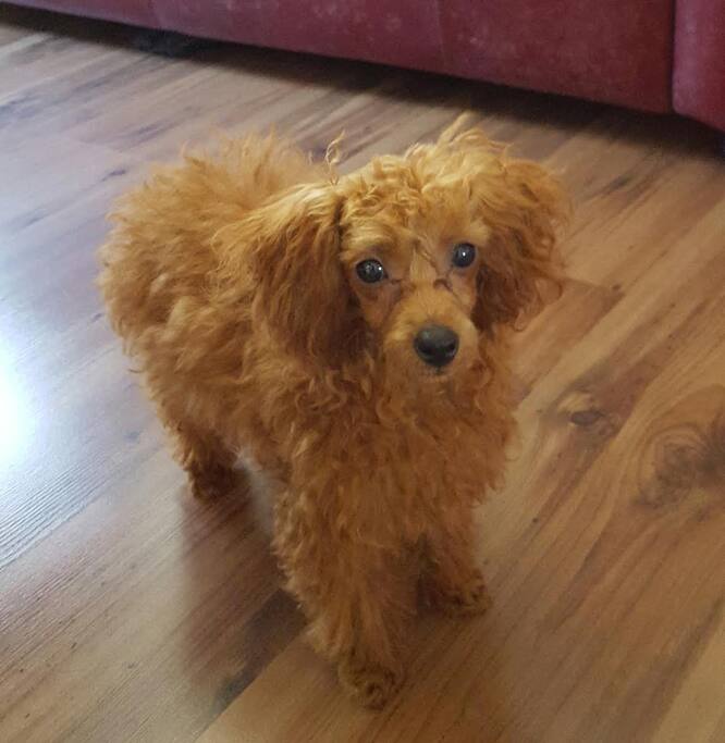 Charlie