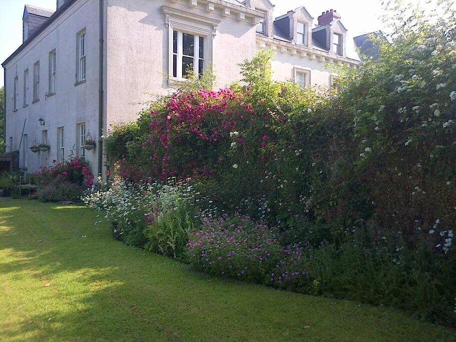 The Rose Wall