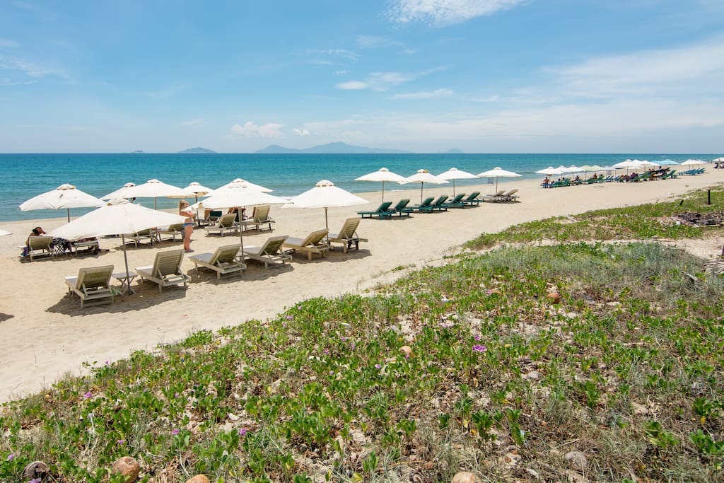 The beach